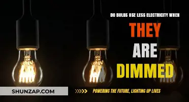 Dimming Bulbs: Does It Really Reduce Electricity Consumption?
