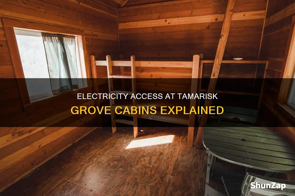 do cabins at tamarisk grove have electricity