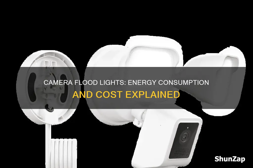 do camera flood lights use a lot of electricity