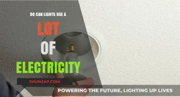 Do Can Lights Consume High Electricity? Energy Efficiency Explained