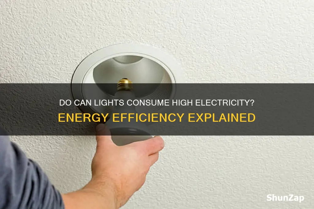 do can lights use a lot of electricity