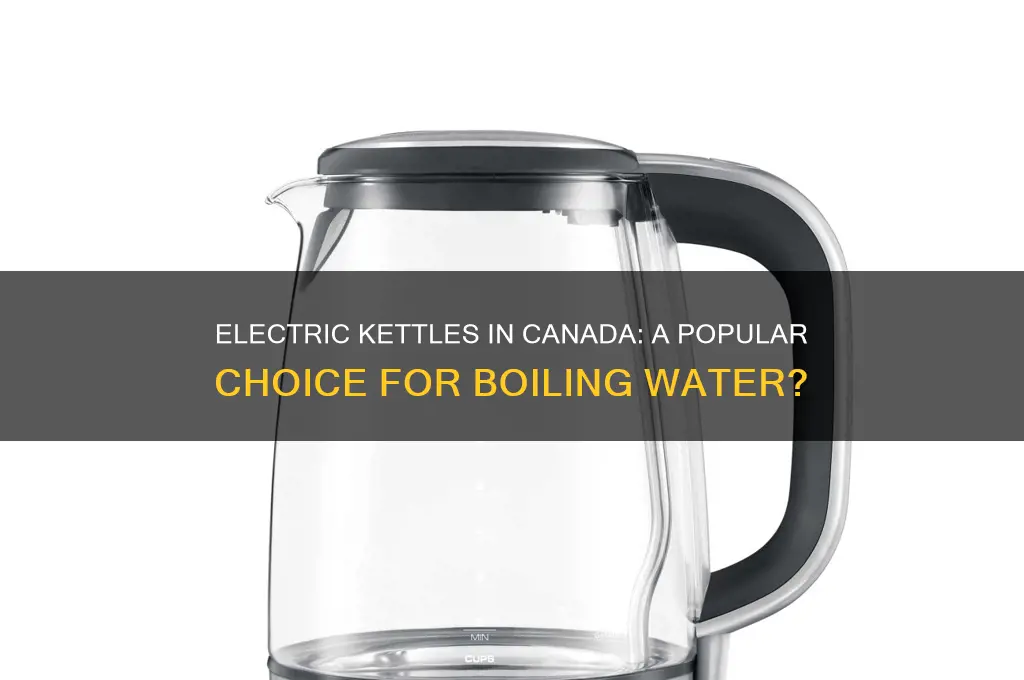 do canadians use electric kettles