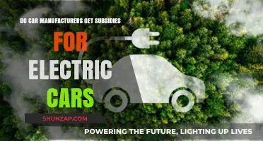 Are Carmakers Receiving Government Subsidies for Electric Vehicle Production?