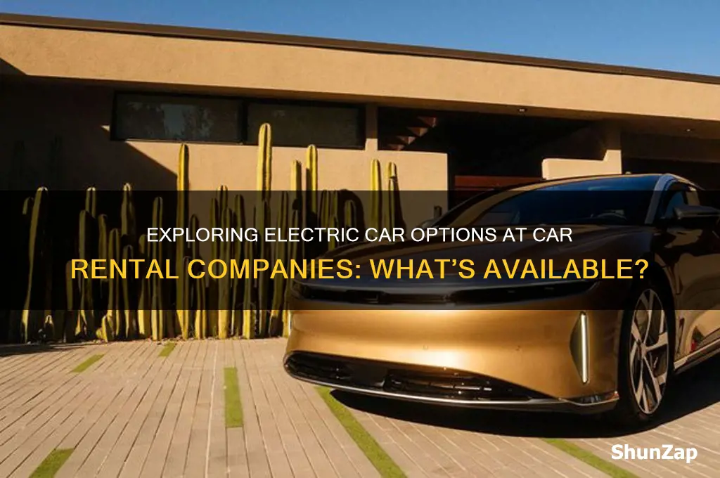 do car rental companies have electric cars