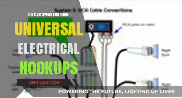 Are Car Speaker Electrical Connections Universal? A Comprehensive Guide