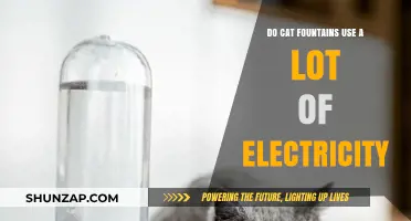 Do Cat Fountains Consume Excessive Electricity? A Cost Analysis
