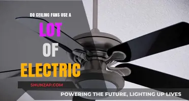 Ceiling Fans and Energy Efficiency: How Much Electricity Do They Use?