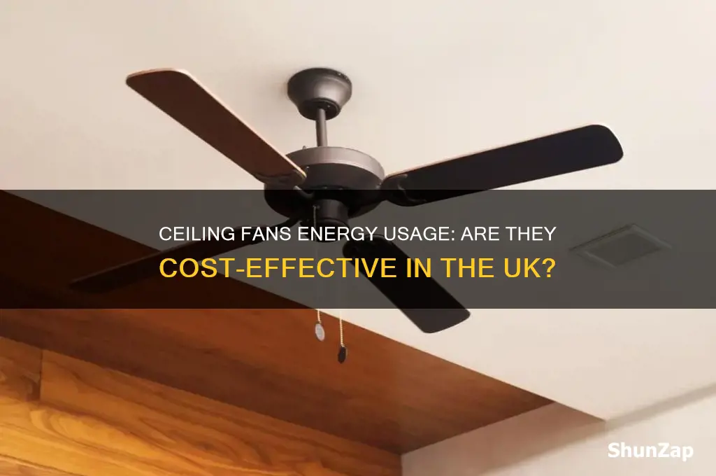 do ceiling fans use a lot of electricity uk