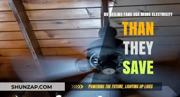 Ceiling Fans: Energy Savers or Hidden Electricity Guzzlers?
