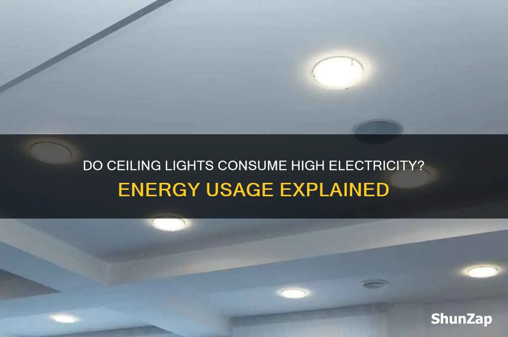 do ceiling lights use a lot of electricity