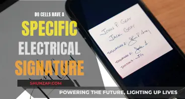 Cellular Electricity: A Unique Signature for Life?