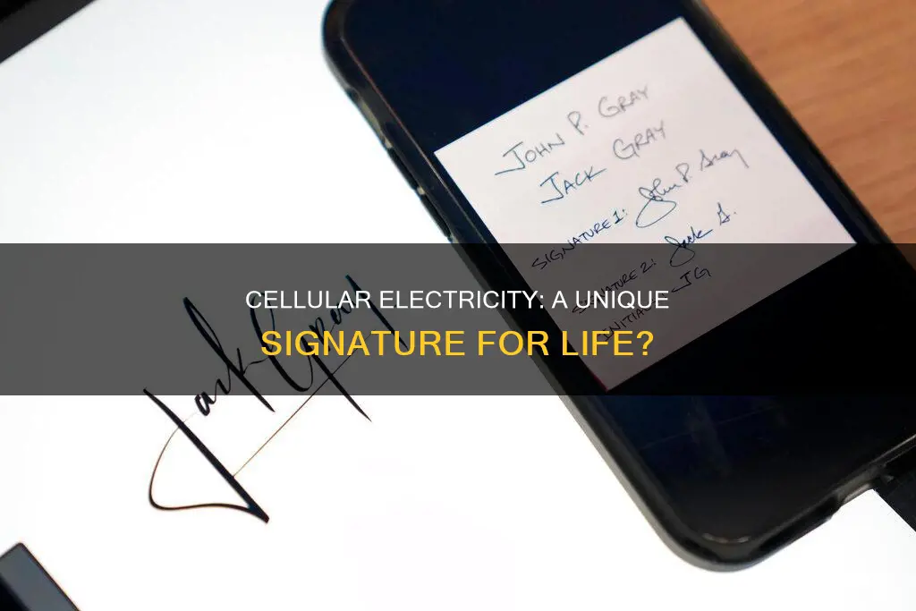 do cells have a specific electrical signature