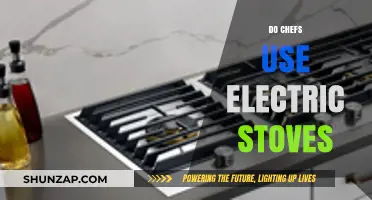 Electric Stoves in Kitchens: Do Chefs Prefer Gas or Electric?