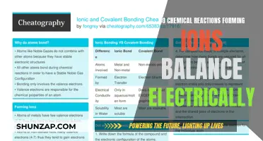 Ionic Chemical Reactions: Electric Charge Balance
