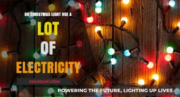 Do Christmas Lights Spike Your Electricity Bill? Let's Find Out