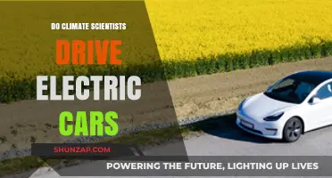 Do Climate Scientists Practice What They Preach with Electric Cars?
