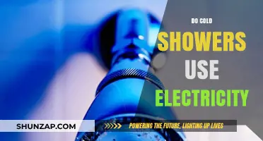 Cold Showers and Electricity: Uncovering the Energy Usage Myth