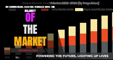 Electric Vehicle Market: Are Commercial EVs Taking Over?