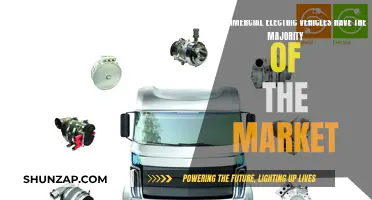 Electric Vehicles: Commercial Control or Balanced Market?