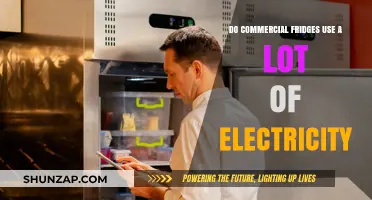 Commercial Fridges: High Energy Consumption Explained and Solutions