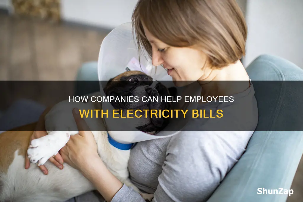 do companies help in paying for electricity