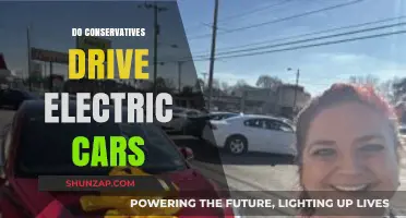 Do Conservatives Embrace Electric Cars? Exploring Political Trends in EV Adoption