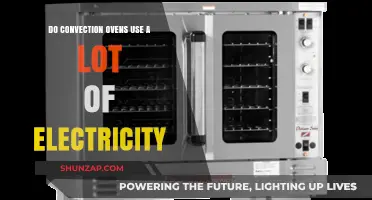 Convection Ovens: Energy Efficiency and Electricity Consumption Explained