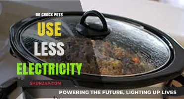 Crock Pots vs. Electricity: Are Slow Cookers Energy Efficient?
