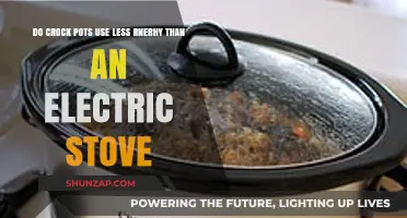 Crock Pot vs. Electric Stove: Which Uses Less Energy?