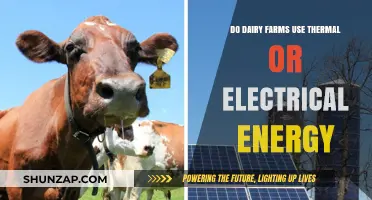 Dairy Farms' Energy Use: Thermal vs. Electrical Power Explained