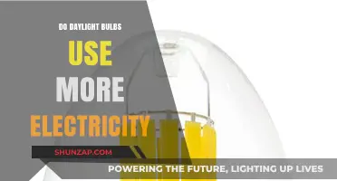 Do Daylight Bulbs Consume More Electricity? Energy Efficiency Explained