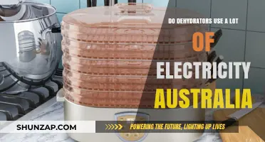 Do Dehydrators Consume High Electricity in Australia? A Cost Analysis
