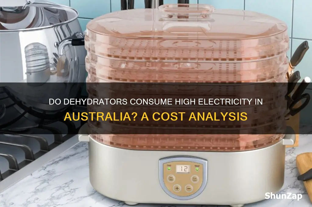 do dehydrators use a lot of electricity australia