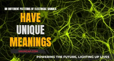 Electrical Signals: Unlocking Unique Meanings in Patterns