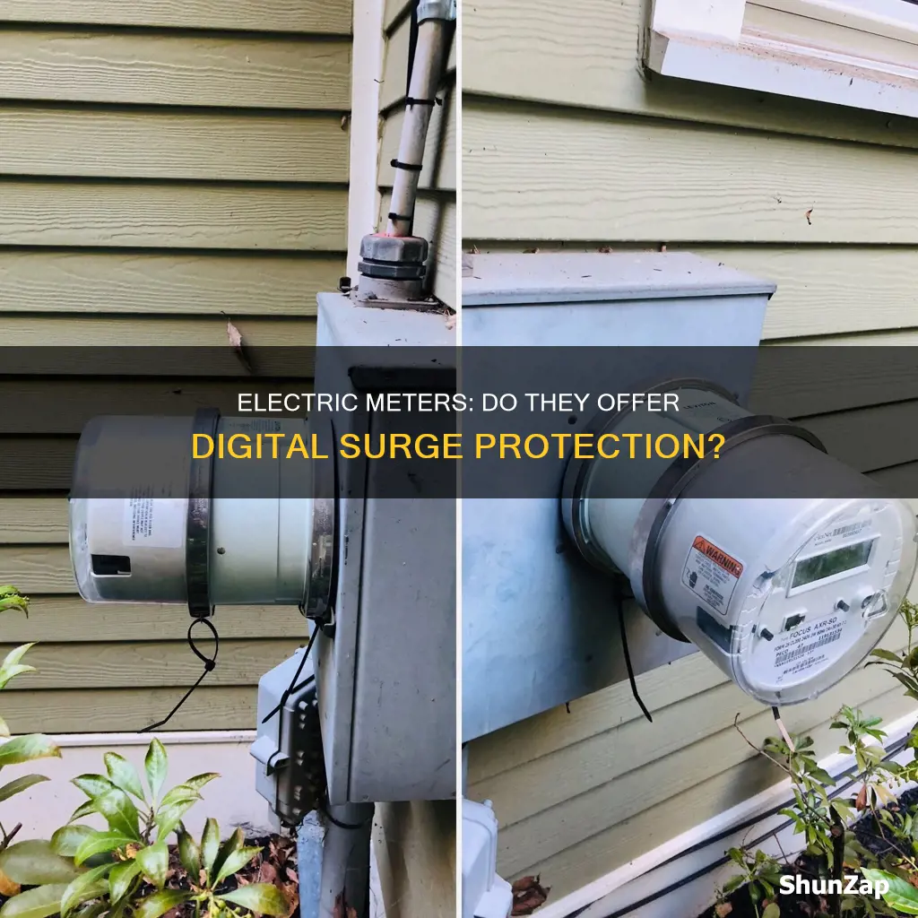 do digital electric meters have surge protection