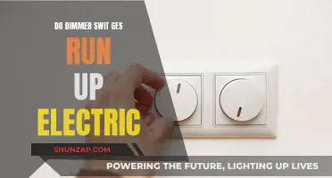 Dimmer Switches: Energy Savers or Energy Guzzlers?