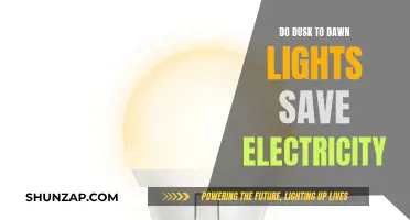 Dusk-to-Dawn Lights: Energy Saving or Wasting?