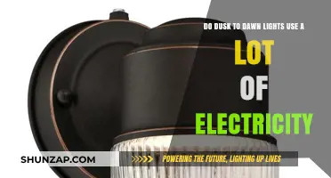 Dusk to Dawn Lights: Electricity Usage and Energy Efficiency Explained