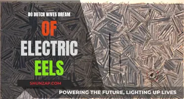 Dutch Wives, Electric Eels, and Their Dreams