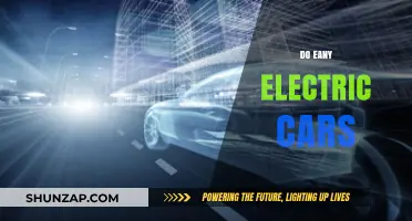 Exploring the Reality: Do Any Electric Cars Truly Deliver on Promises?