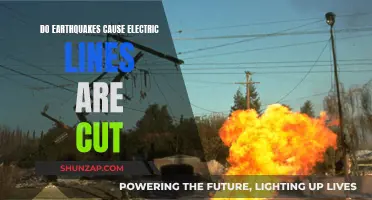 Earthquake Impact: Electric Lines and Their Vulnerability