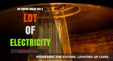 Do Edison Bulbs Consume Excessive Electricity? A Comprehensive Analysis