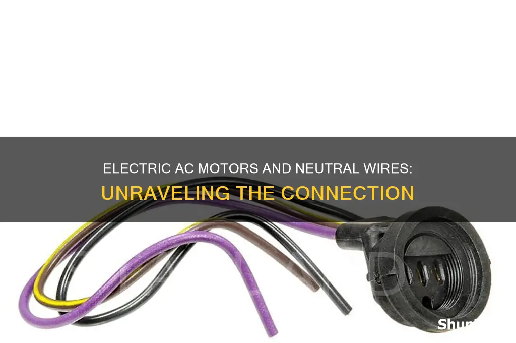 do electric ac motors ever use a neutral wire