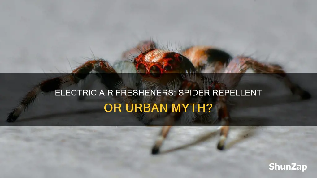 do electric air fresheneres help against spiders