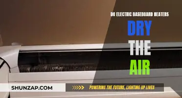 Electric Baseboard Heaters: Dry Air or Moisture Preserver?