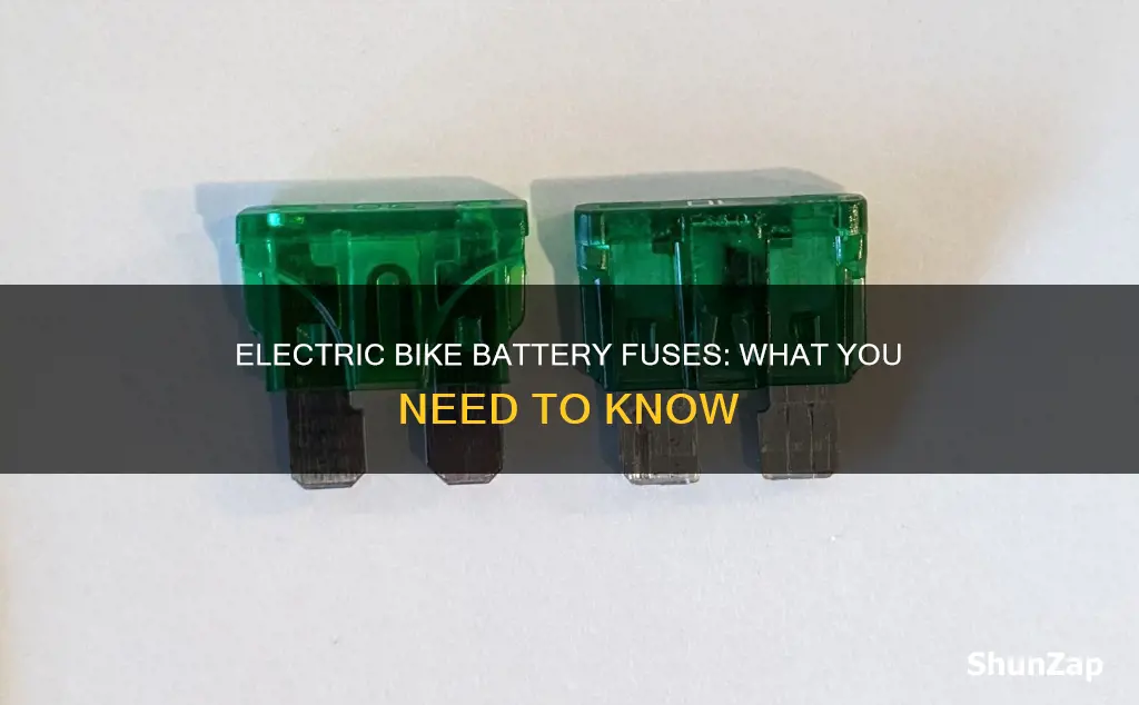 do electric bike batteries have fuses