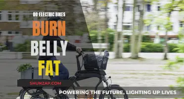 Electric Bikes: Belly Fat Burner or Lazy Choice?