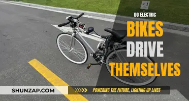 Electric Bikes: Self-Driving or Human-Controlled?