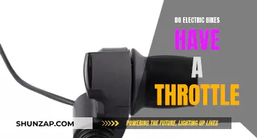 Electric Bike Throttle: What's the Deal?