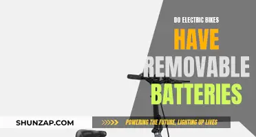 Electric Bike Batteries: Removable or Fixed?